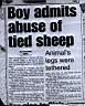 20news_sheep.jpg