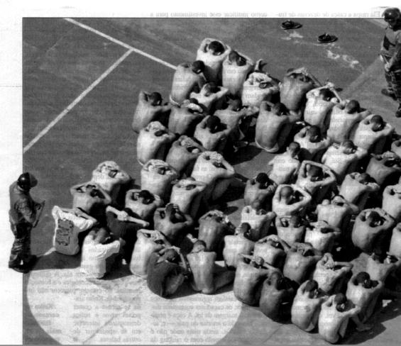 Welcome to the Jungle...